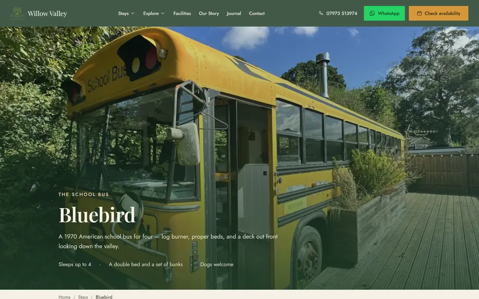 Willow Valley: Bluebird, a 1970 school bus stay near Bude, at 1440px.